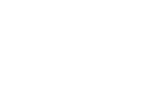 Deer Tattoo